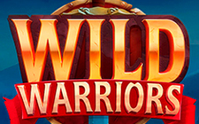 Игровой автомат Wild Warrior